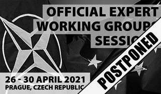 Official Working Groups' Sessions